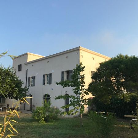 بونيفَسْيو A Loghja Di Cavallo Morto المظهر الخارجي الصورة