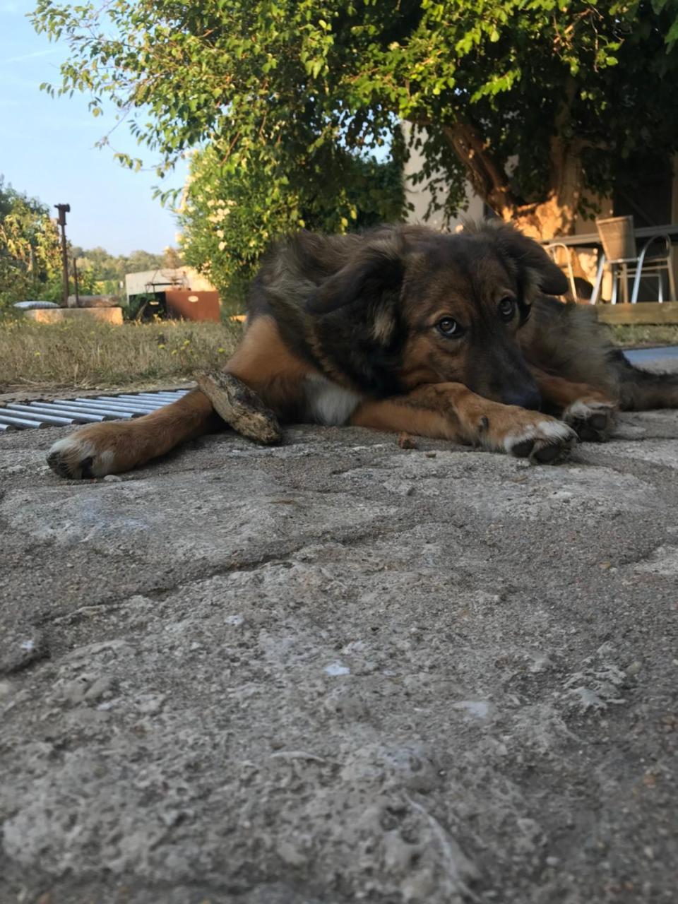 بونيفَسْيو A Loghja Di Cavallo Morto المظهر الخارجي الصورة