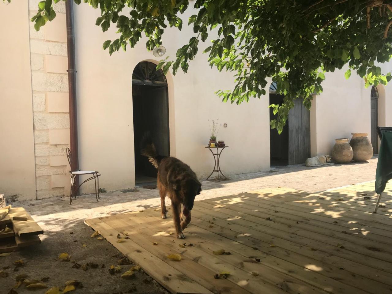 بونيفَسْيو A Loghja Di Cavallo Morto المظهر الخارجي الصورة